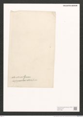 Nitzschia adriatica Grun. (de-Toni-Nr.: Genus 47, Species 2076) Zeichnungen Sammlung Grunow (NHMW-BOT-W0371966)